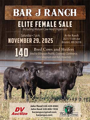 Bar J Sale Ad Thumbnail